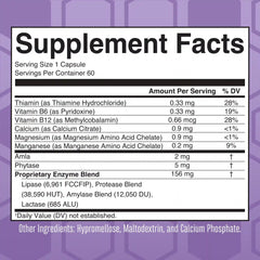 Lipase Protease Enzymes