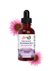 Organic Echinacea Purpurea Herbal Liquid Drops