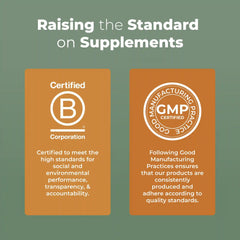 Reishi Mushroom Liposomal