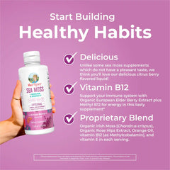 Sea Moss + Immune & Energy Liposomal